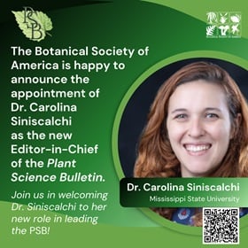 Dr. Carolina Siniscalchi as the new Editor-in-Chief