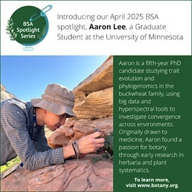 #Check out the BSA Member Spotlight for Aaron Lee