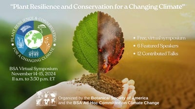 BSA Virtual Symposium