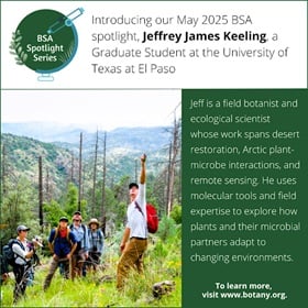 Check out the BSA Member Spotlight for Jeffrey James Keeling