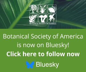BSA BlueSky account promotional image